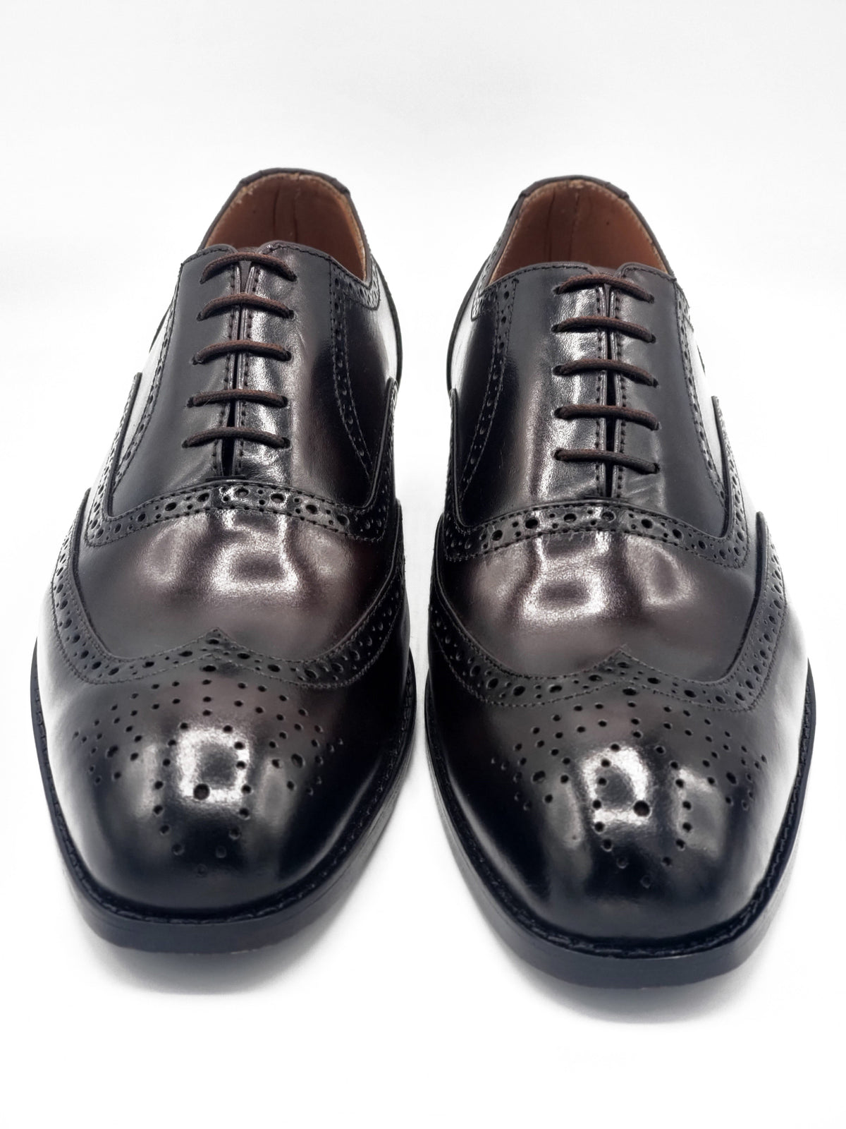 Royal Two Tone Brogue laced shoe