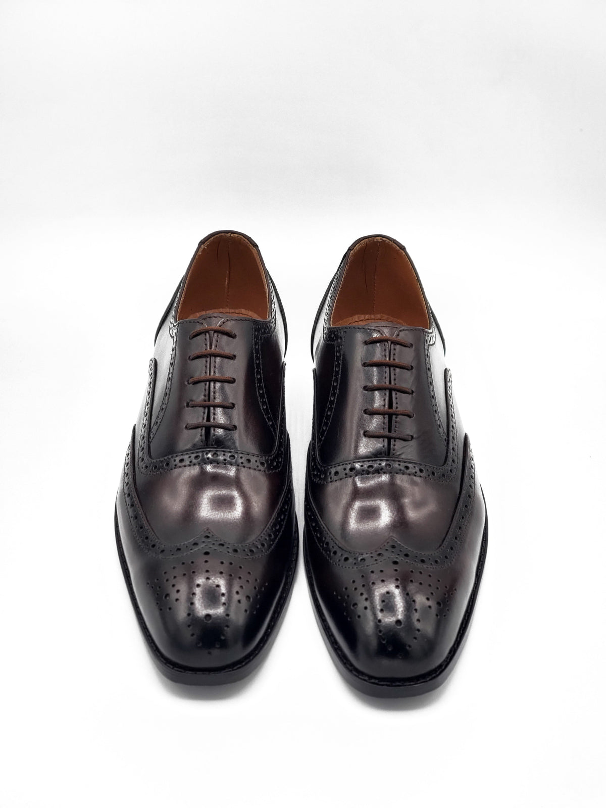 Royal Two Tone Brogue laced shoe