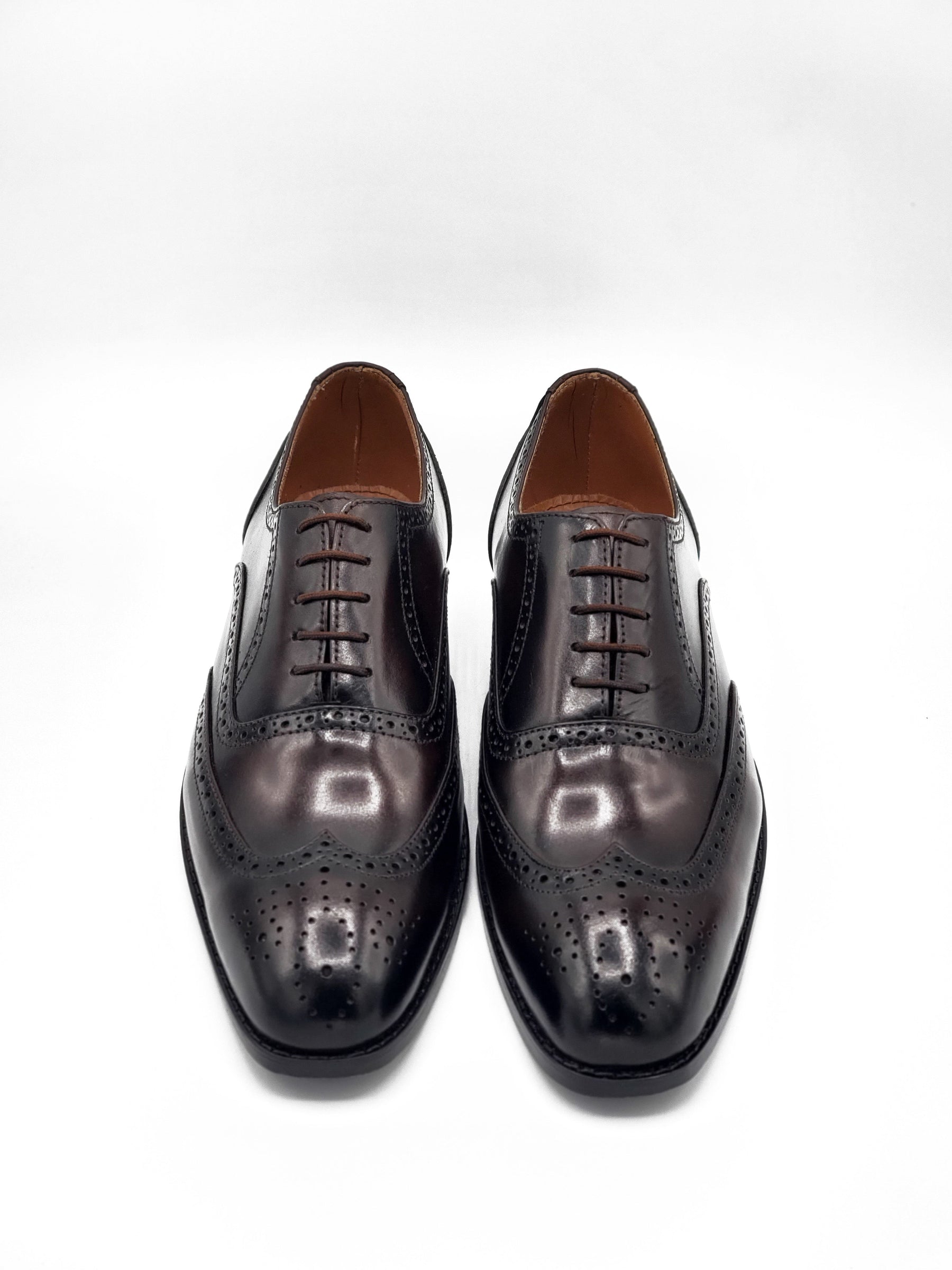 Royal Two Tone Brogue laced shoe