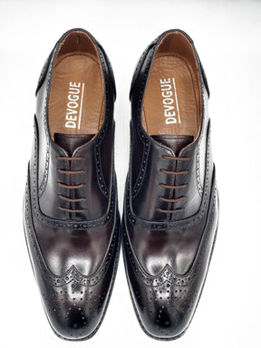 Royal Two Tone Brogue laced shoe